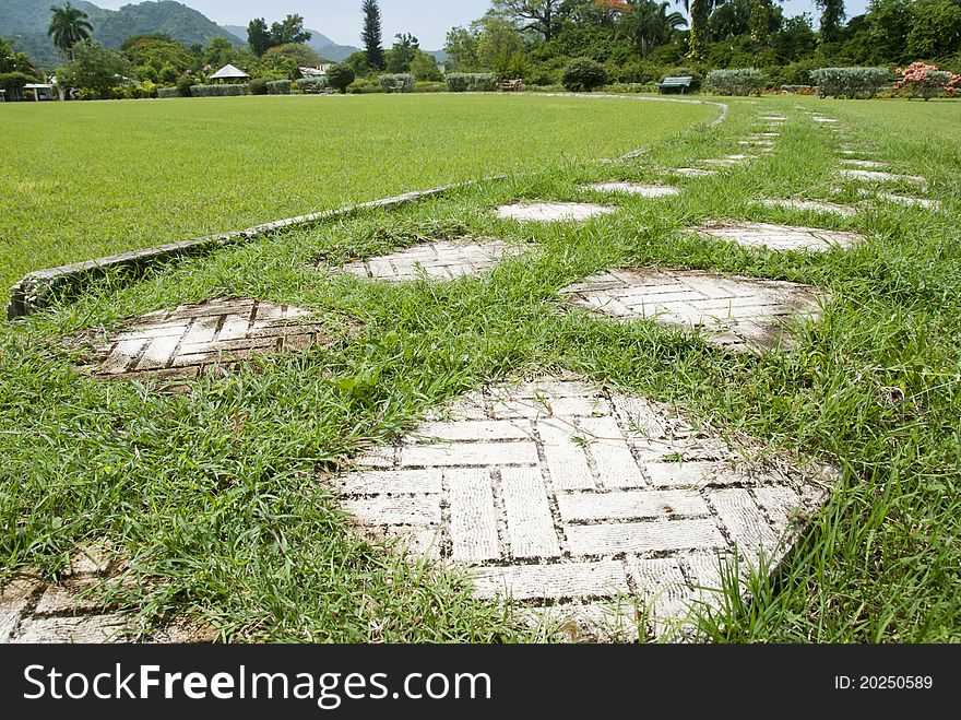 White tiles on green grass make a pathway. White tiles on green grass make a pathway