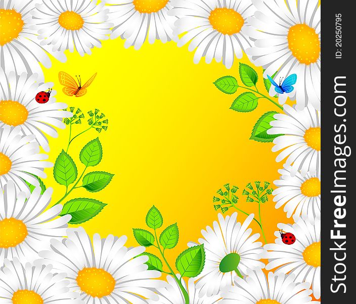 Vector illustration of  Chamomile back