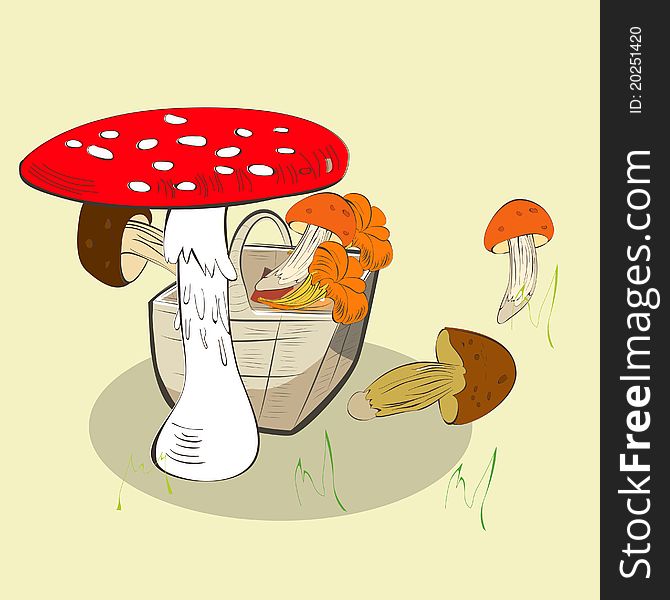 Cartoon style illustration of Mushrooms in basket