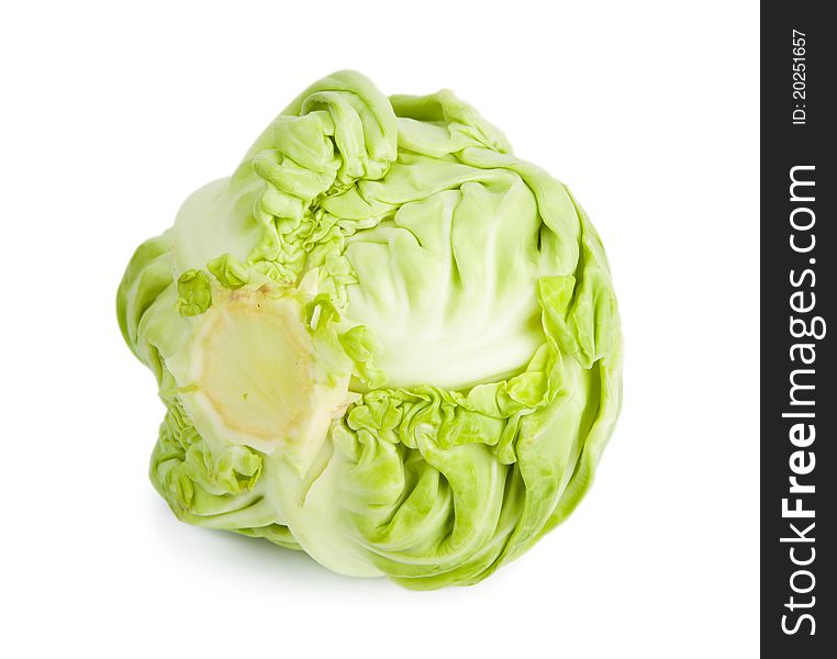 Green cabbage isolated on white background