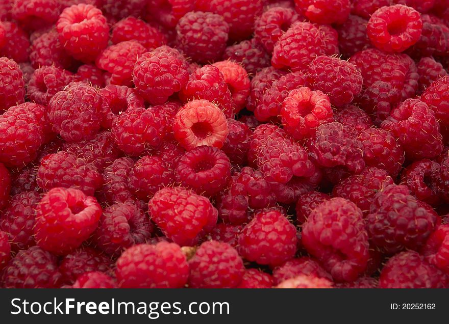 Closeup of bunch of fresh red raspberries