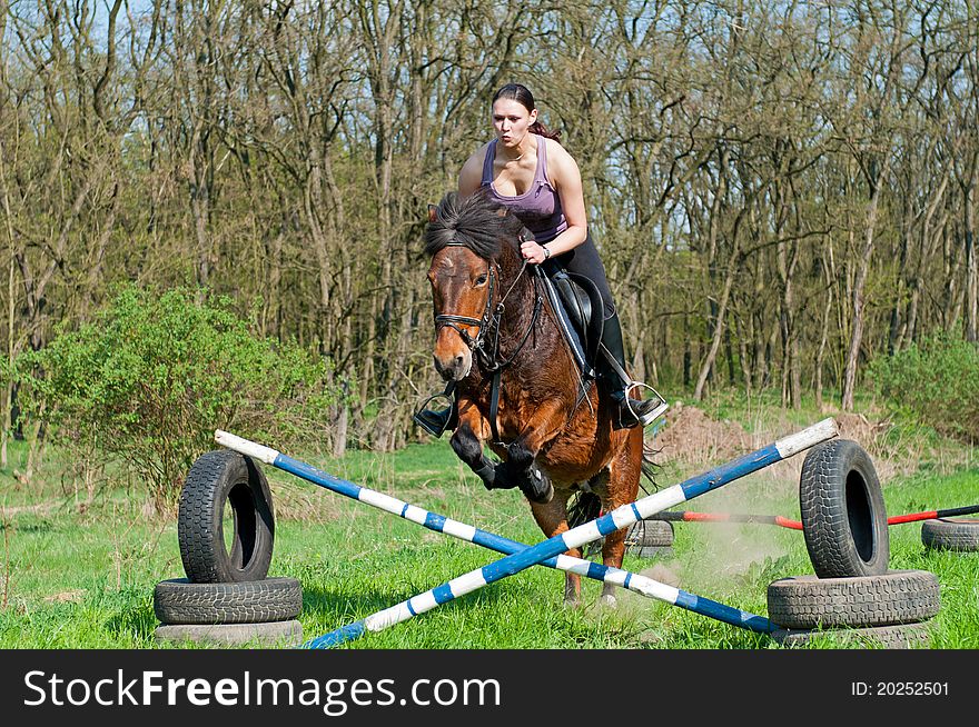 Pretty girl and bay horse during the sunny day. Pretty girl and bay horse during the sunny day.