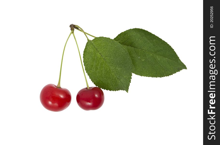 Two cherries with a sheet on a white background. Two cherries with a sheet on a white background