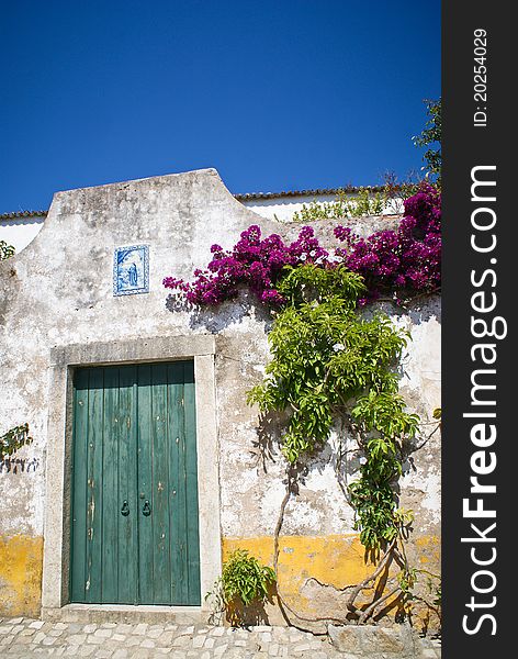 Old wooden doors in a white wall of a residence and flowers in old middle-aged Obidos village in Portugal. Old wooden doors in a white wall of a residence and flowers in old middle-aged Obidos village in Portugal