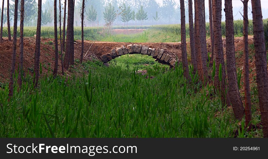 Small stone bridge in the field.