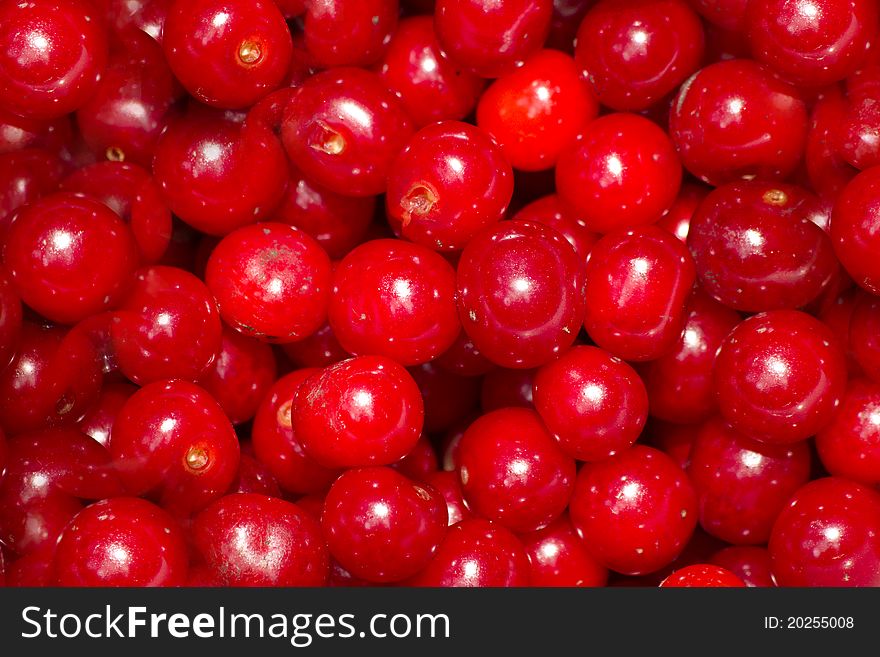 Berries ripened cherries abstract background. Berries ripened cherries abstract background