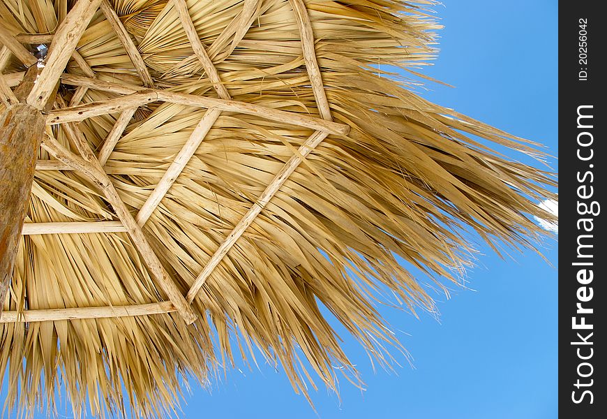 Beach Palm Tree Umbrella