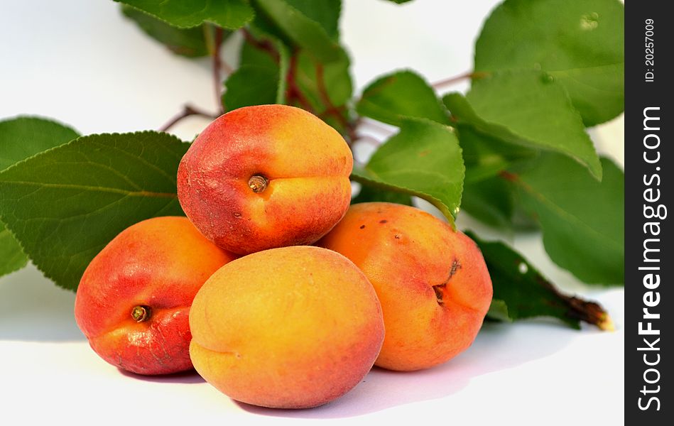 Juicy apricots