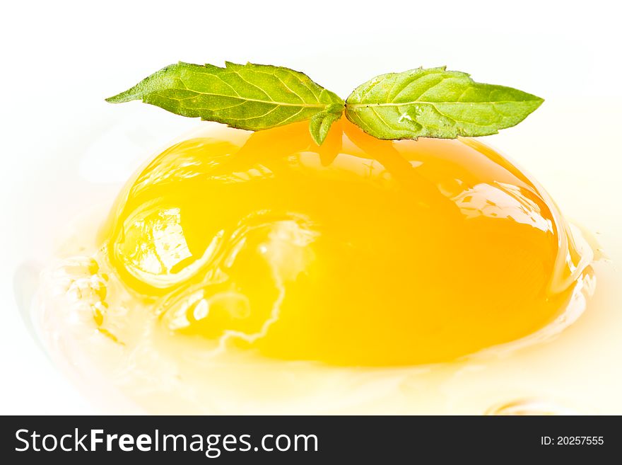 Egg yolk