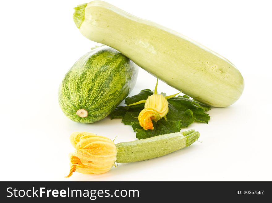 Zucchini Flower