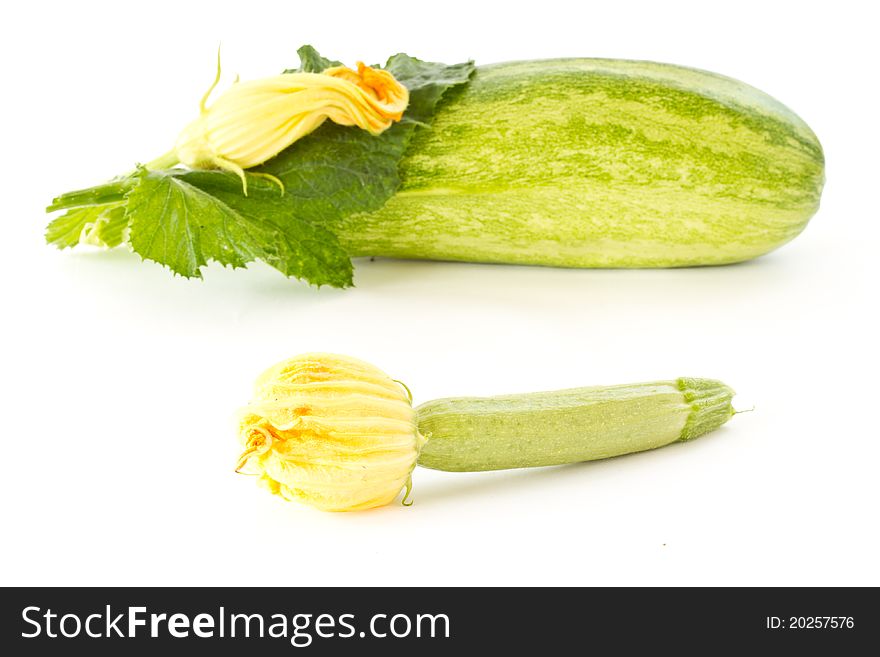 Zucchini flowers and fresh green zucchini