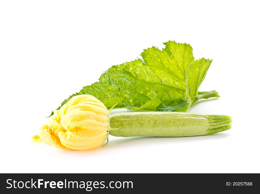 Zucchini flowers and fresh green zucchini