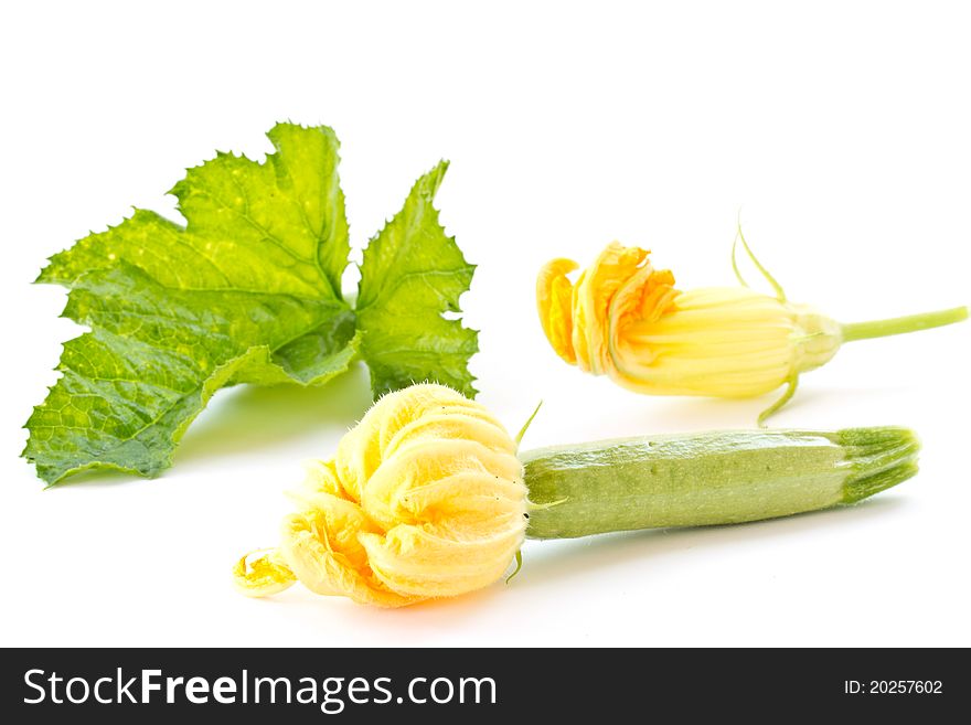 Zucchini flowers and fresh green zucchini