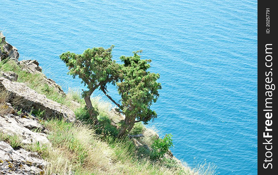 Beautiful rocky hill on the background of the Black Sea. Beautiful rocky hill on the background of the Black Sea