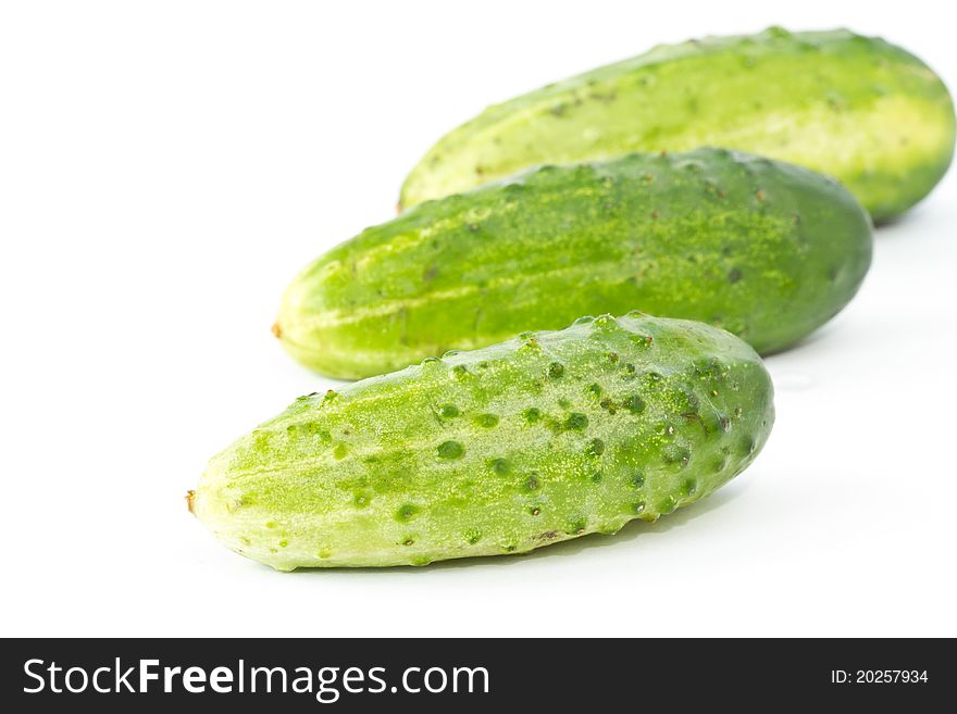 Green cucumber on a white background. Green cucumber on a white background