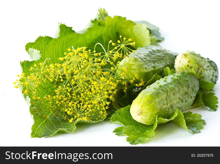 Green cucumber with horseradish, dill and spices prepared for salting. Green cucumber with horseradish, dill and spices prepared for salting