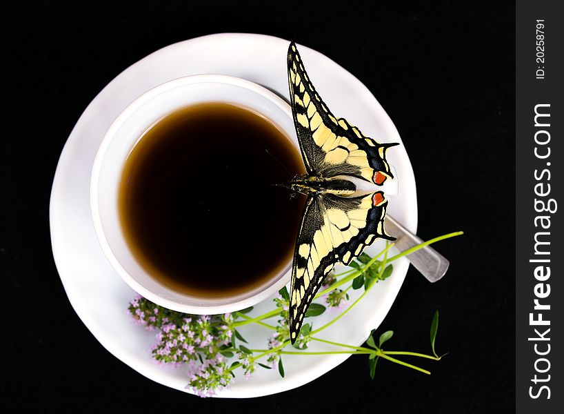 Butterfly and cup isolated on black. Butterfly and cup isolated on black