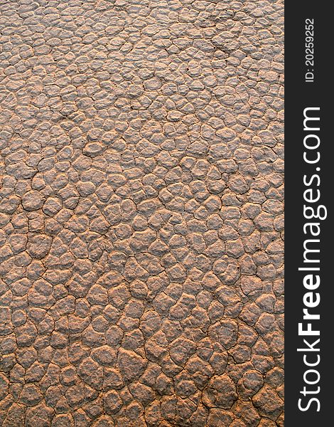 Wadi Rum Desert dry soil detail. Jordan.