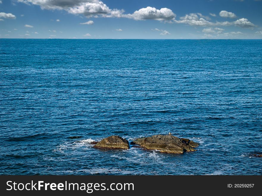 Beautiful seascape with lonely seagull