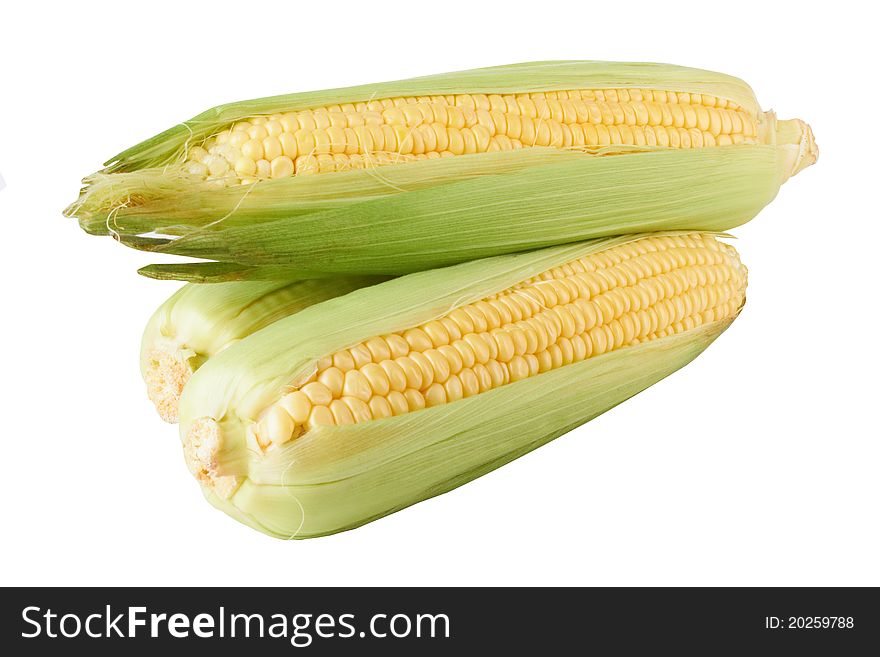 Fresh corn vegetable with green leaves closeup