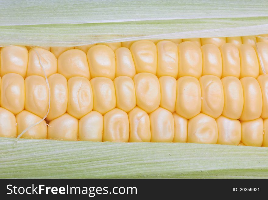 Fresh corn vegetable with green leaves closeup