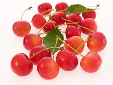 Red Cherries Royalty Free Stock Photo