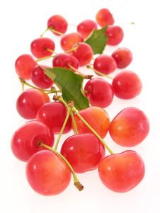 Red Cherries Stock Photography
