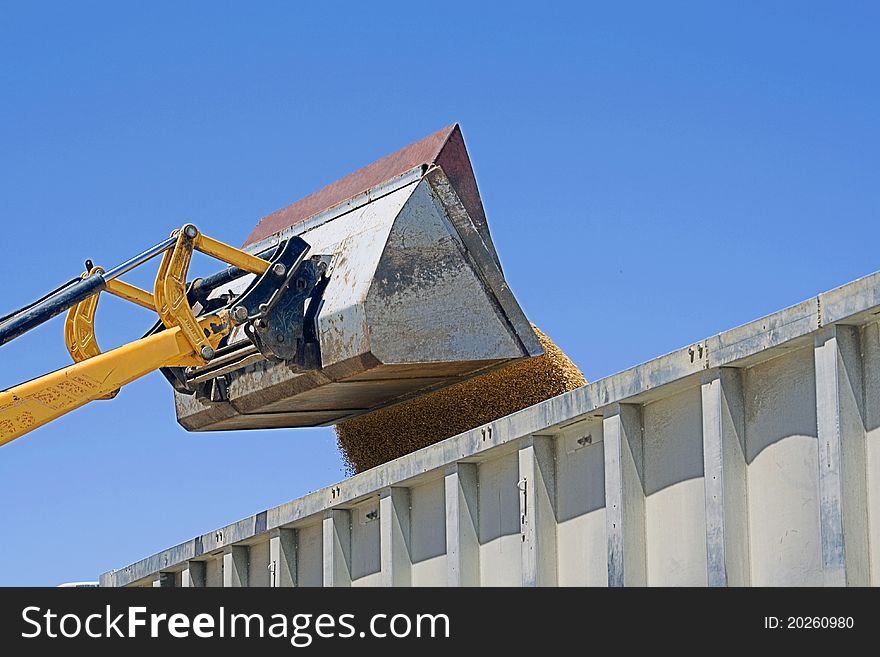 Unloading wheat in a truck