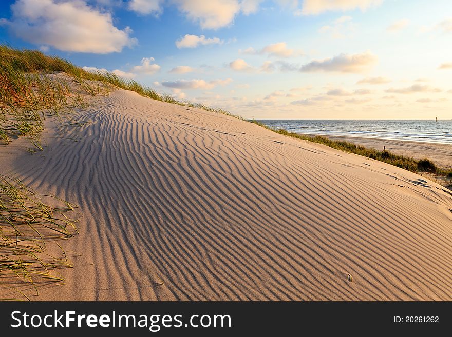 Sand dunes with helmet grass near the sea