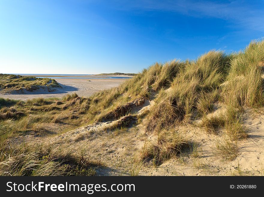 Sand dunes with helmet grass near the sea