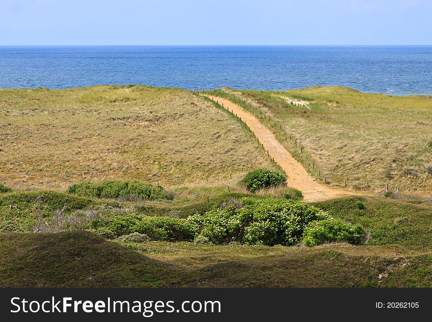 Sand Dunes And Sea