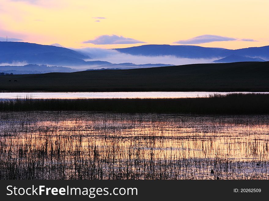 The landscape of sunrise of grassland by the river. The landscape of sunrise of grassland by the river