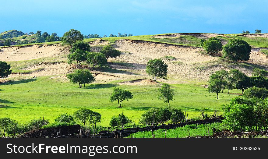 Landscape  of  road in the grassland at summer. Landscape  of  road in the grassland at summer