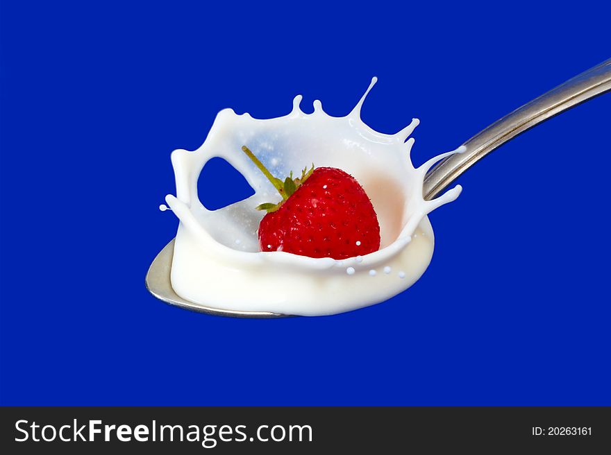Strawberry splash in milk isolated on blue