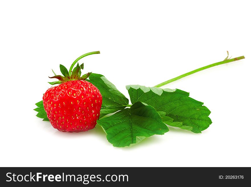 Strawberry isolated on white backgroung