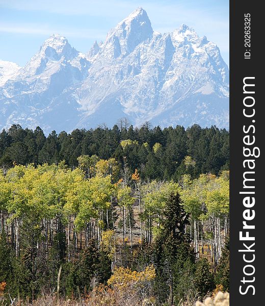 Light haze over Teton Peaks in early fall with aspen stand in foreground. Light haze over Teton Peaks in early fall with aspen stand in foreground.
