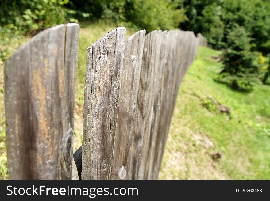 Paling from timbered posts in garden. Paling from timbered posts in garden.