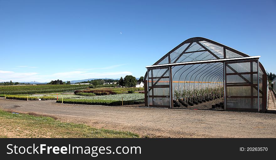 A large greenhouse with seedlings and outdoor plants. A large greenhouse with seedlings and outdoor plants.