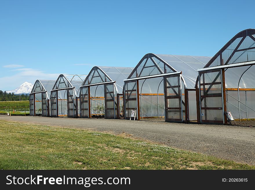 Greenhouses In Rural Oregon.