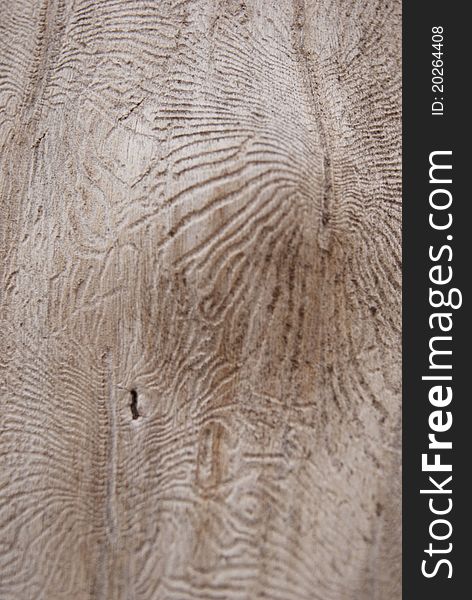 Wood Pulp Texture