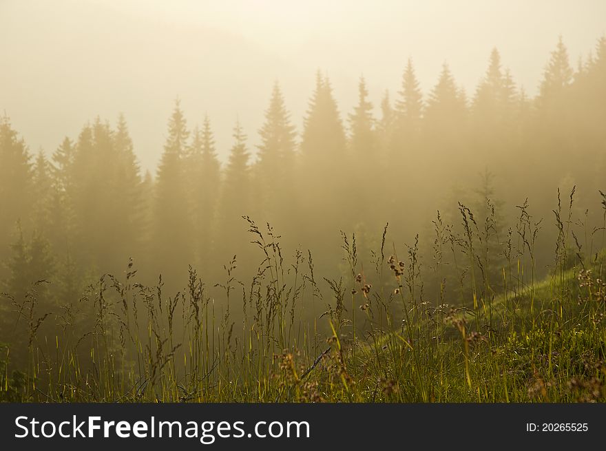 Fog is falling down on mountain. Nice background for desktop wallpaper. Fog is falling down on mountain. Nice background for desktop wallpaper.