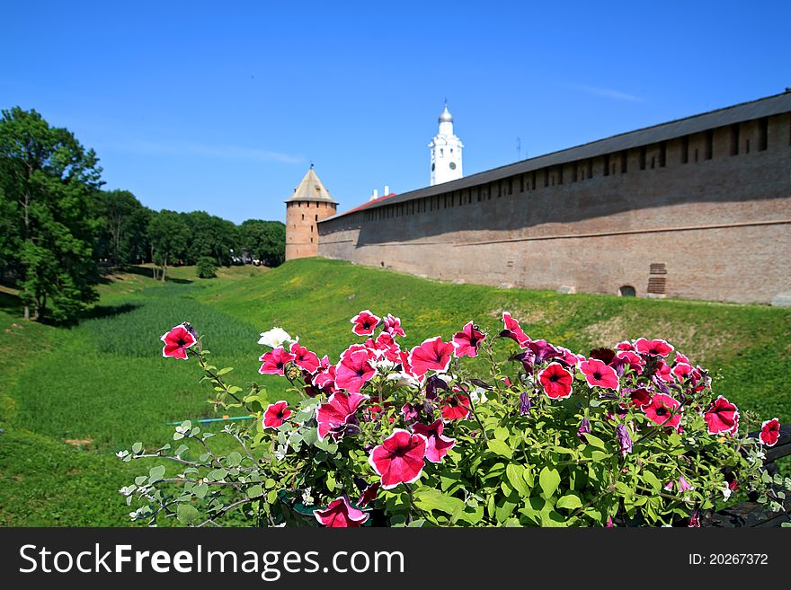 Flowerses on background of the old fortress