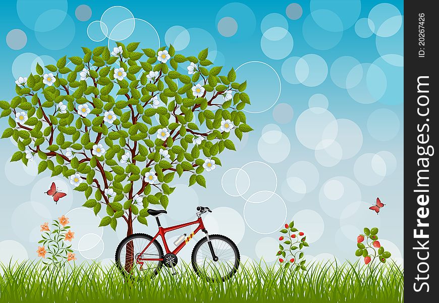 Summer landscape with a bike. Vector illustration.