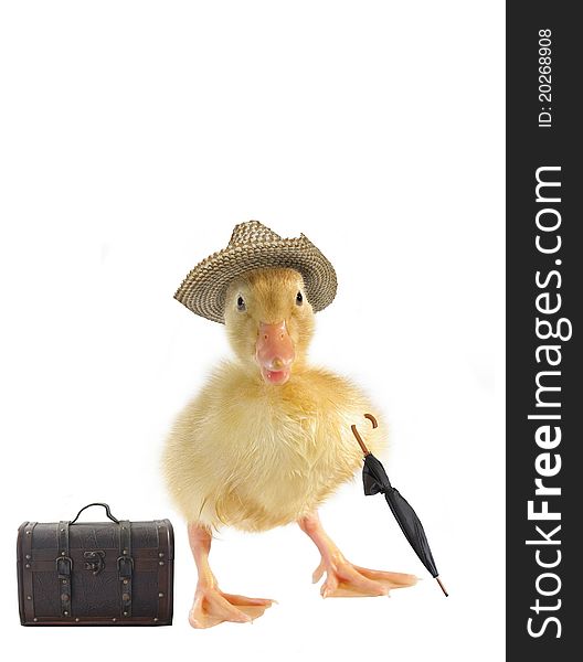 Small duck in straw hat on white background. Small duck in straw hat on white background