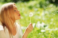 Girl Blowing On A Dandelion Stock Images
