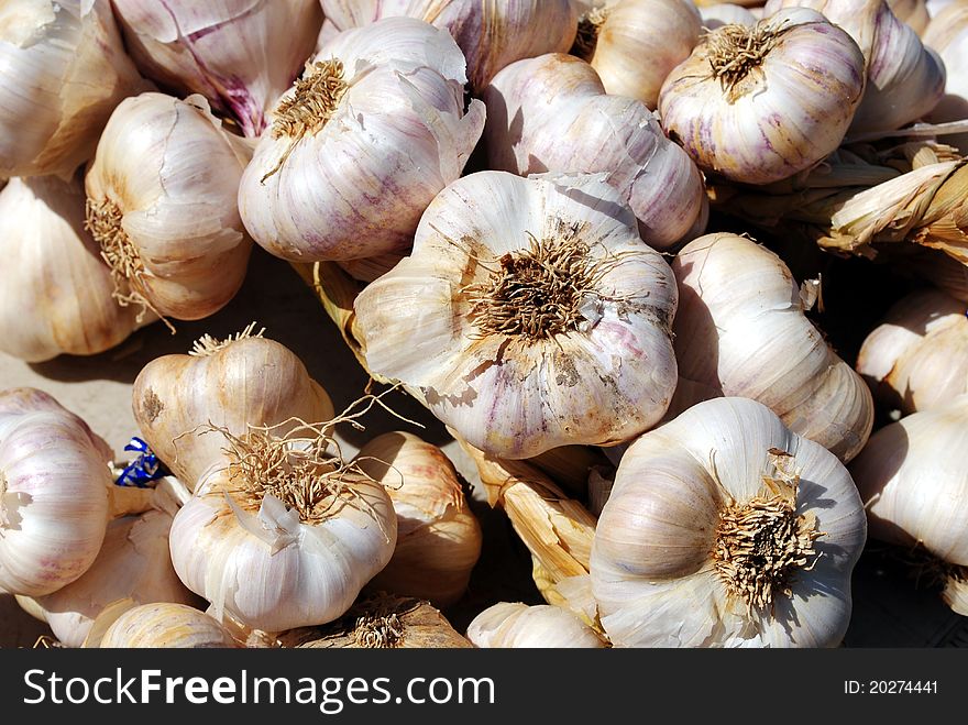 Closeup of fresh garlic bulbs