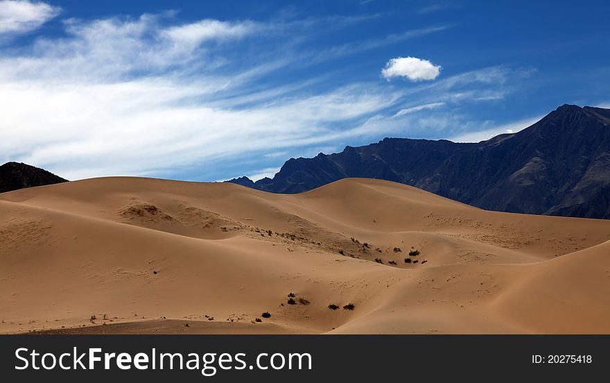 Desertification in the barren Tibetan Plateau