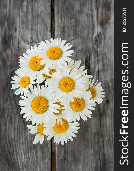 Bouquet Of Daisies