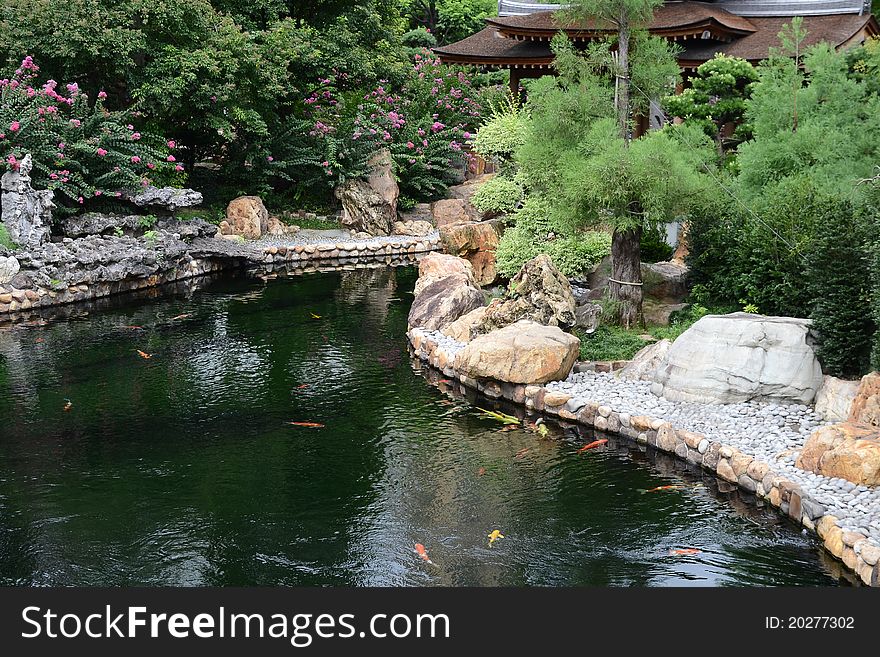 A pool in the Chinese garden in Hong Kong with fishes. A pool in the Chinese garden in Hong Kong with fishes.