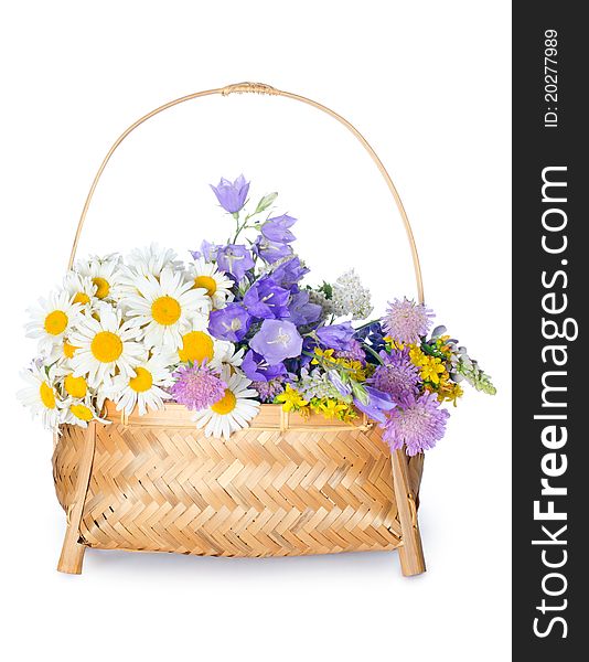 Beautiful flowers in basket isolated on white. Beautiful flowers in basket isolated on white